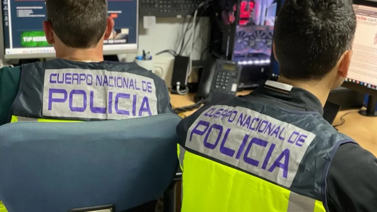 Agentes de Polic&iacute;a Nacional investigan contenidos en la red. / CNP