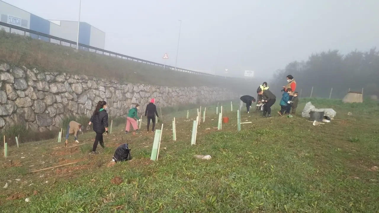 En la localidad se han hecho otras plantaciones de &aacute;rboles. / Alerta
