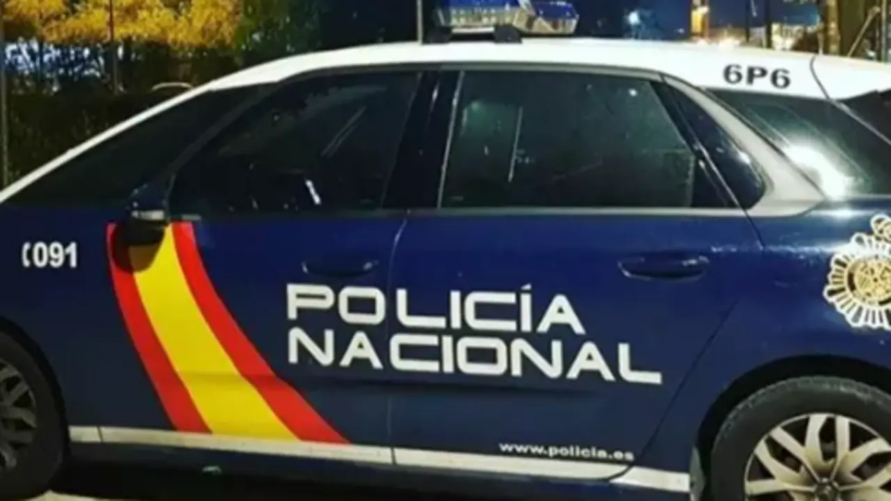 Veh&iacute;culo de la Polic&iacute;a Nacional. / CNP