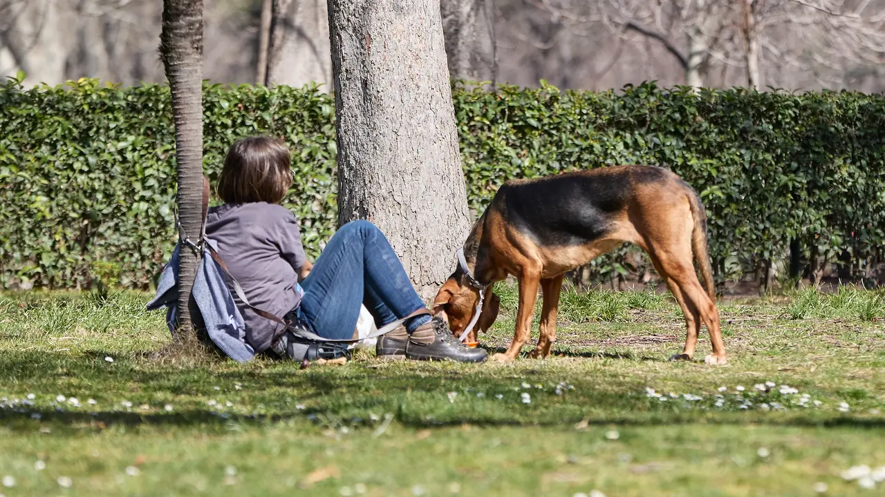 Una mujer junto a un perro en un parque. / Jes&uacute;s Hell&iacute;n