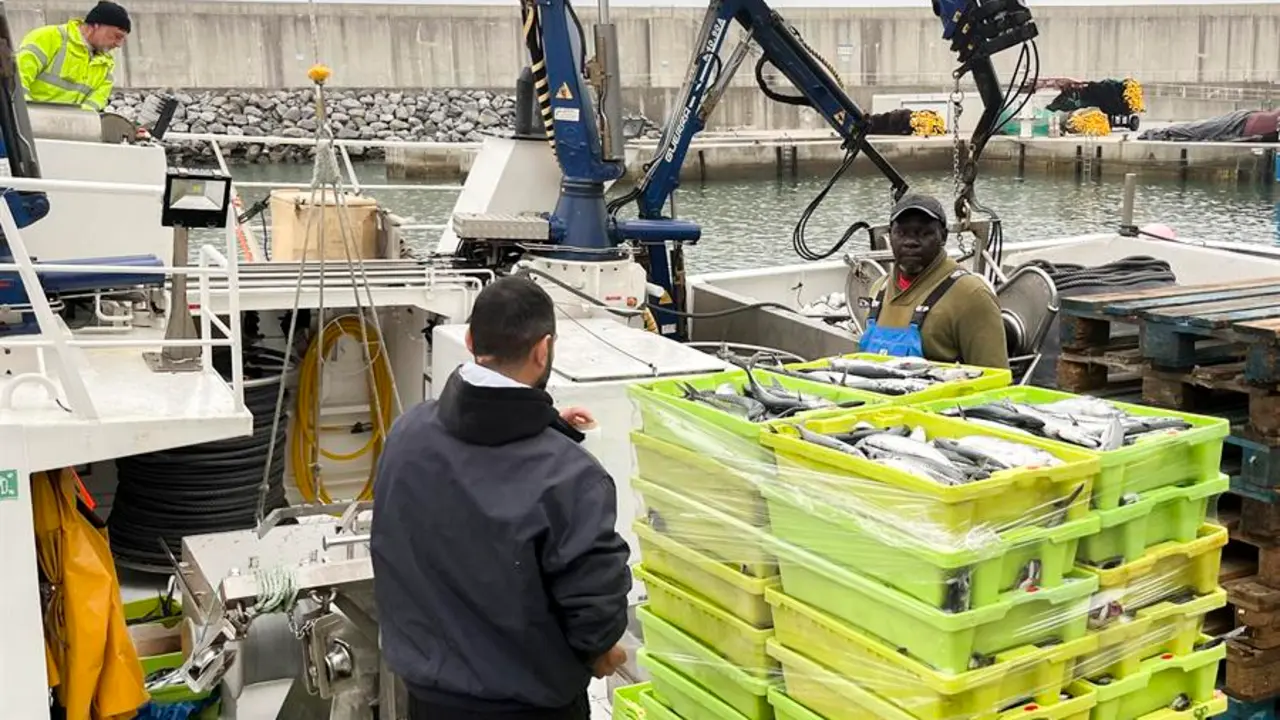 Una caja de verdeles en un barco pesquero en el puerto de Laredo (Cantabria). EFE / Miguel Ramos