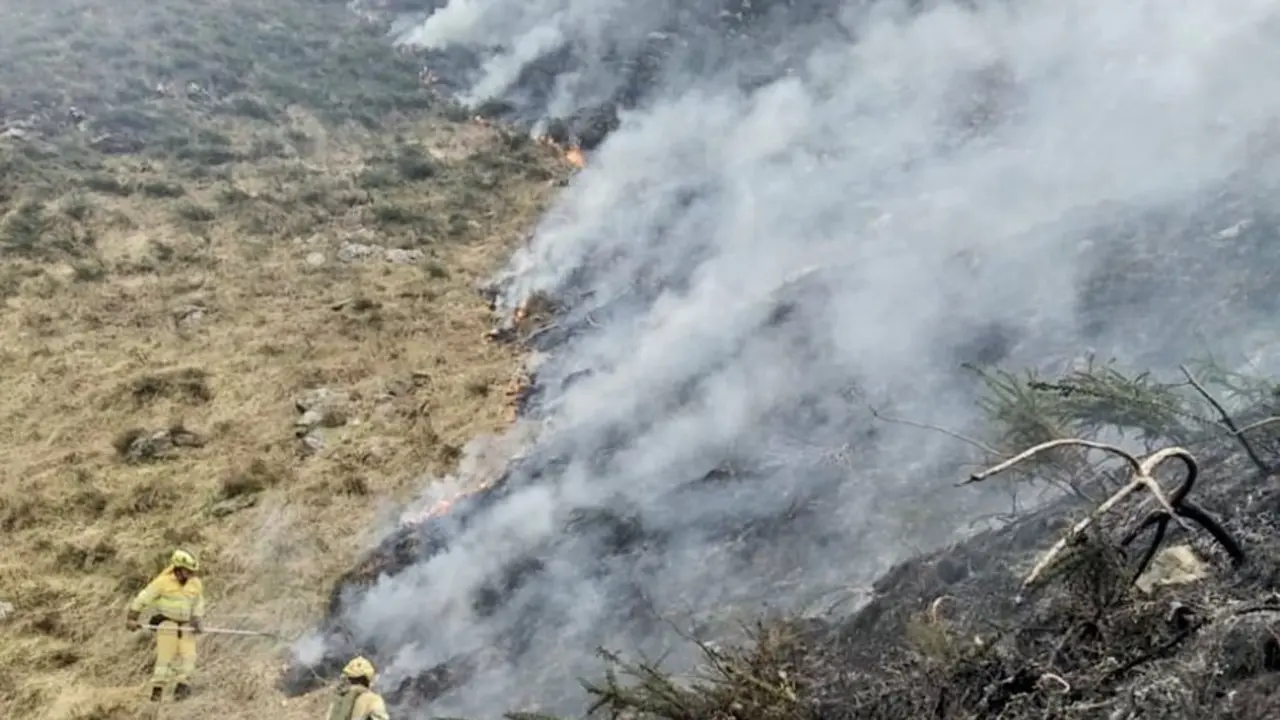 Los bomberos intentan sofocar un incendio forestal. / ALERTA