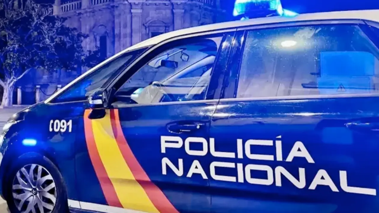 Coche de la Polic&iacute;a Nacional. / CNP