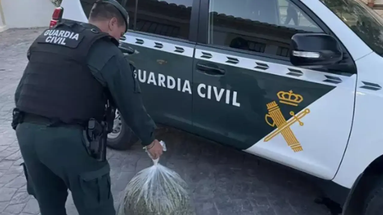 Agente de la Guardia Civil con marihuana incautada. / GC
