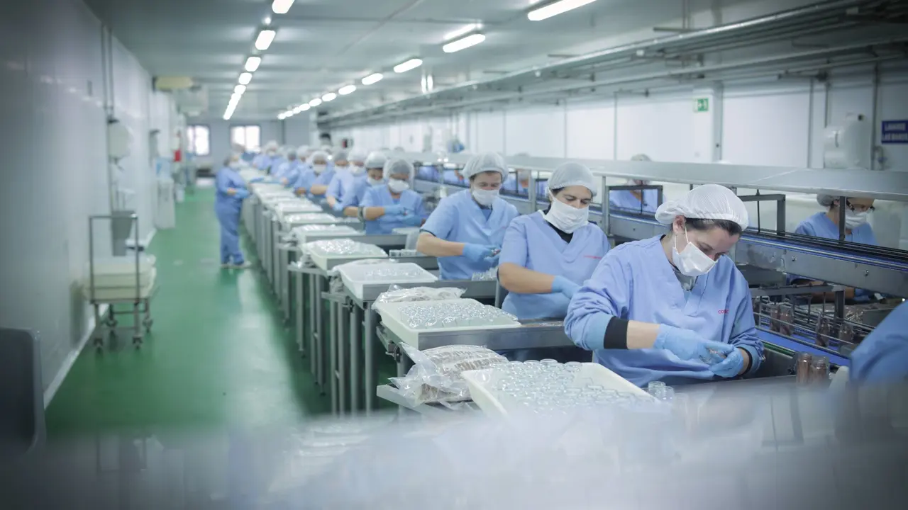 Trabajadoras en las conserveras. / Grupo Consorcio