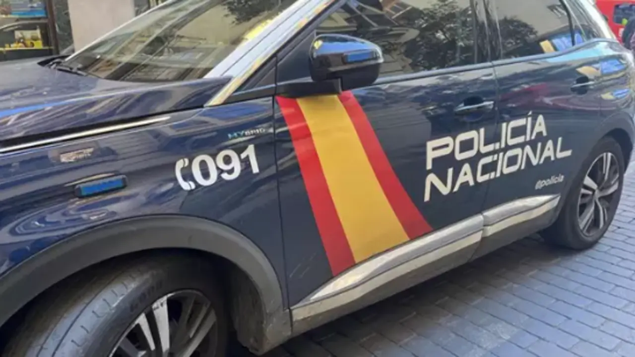 Coche de Polic&iacute;a Nacional. / CNP