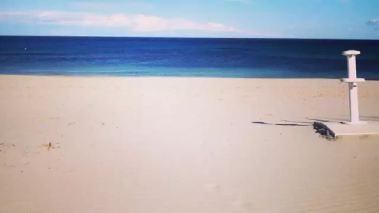 Playa de Las Higuericas de Pilar de la Horadada (Alicante). / VISIT PILAR DE LA HORADADA