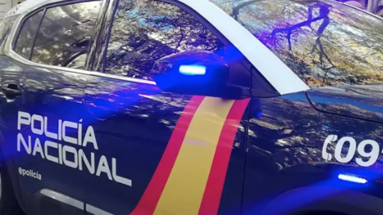 Un coche de la Polic&iacute;a Nacional. / CNP