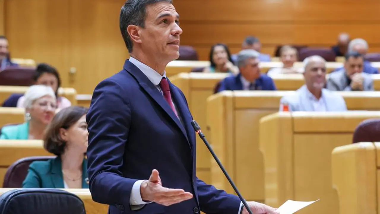 El presidente del Gobierno, Pedro S&aacute;nchez, interviene en la sesi&oacute;n de control celebrada este martes en el pleno del Senado, en Madrid. EFE/ Kiko Huesca