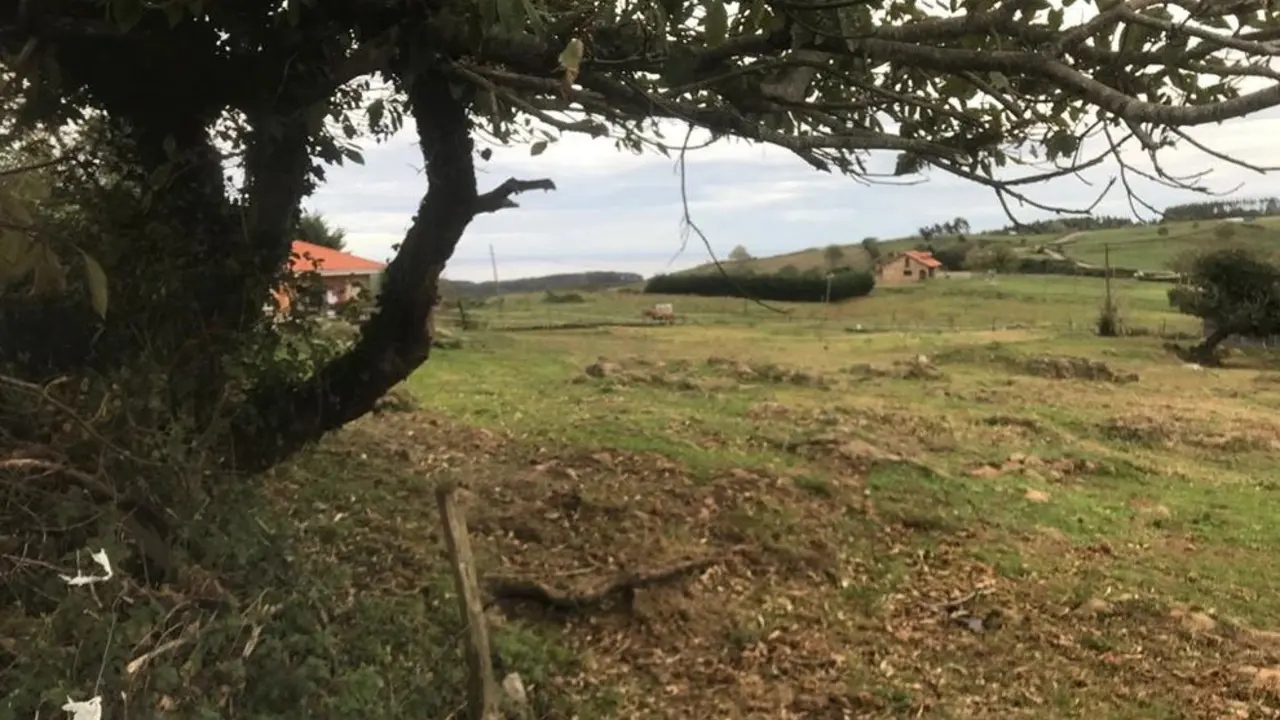 El Ayuntamiento vende a un precio de salida de 38.000 euros cada una