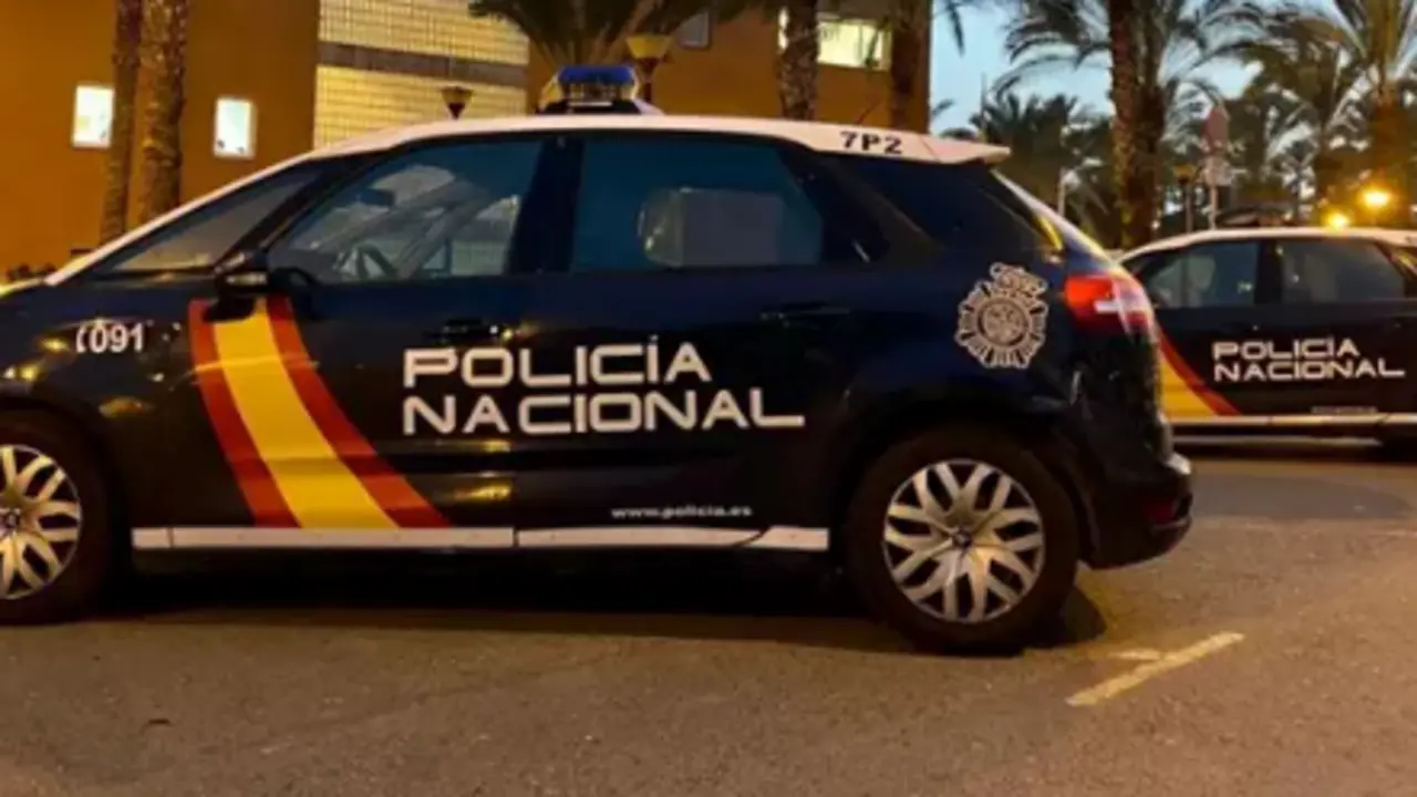 Veh&iacute;culo de la Polic&iacute;a Nacional. / CNP