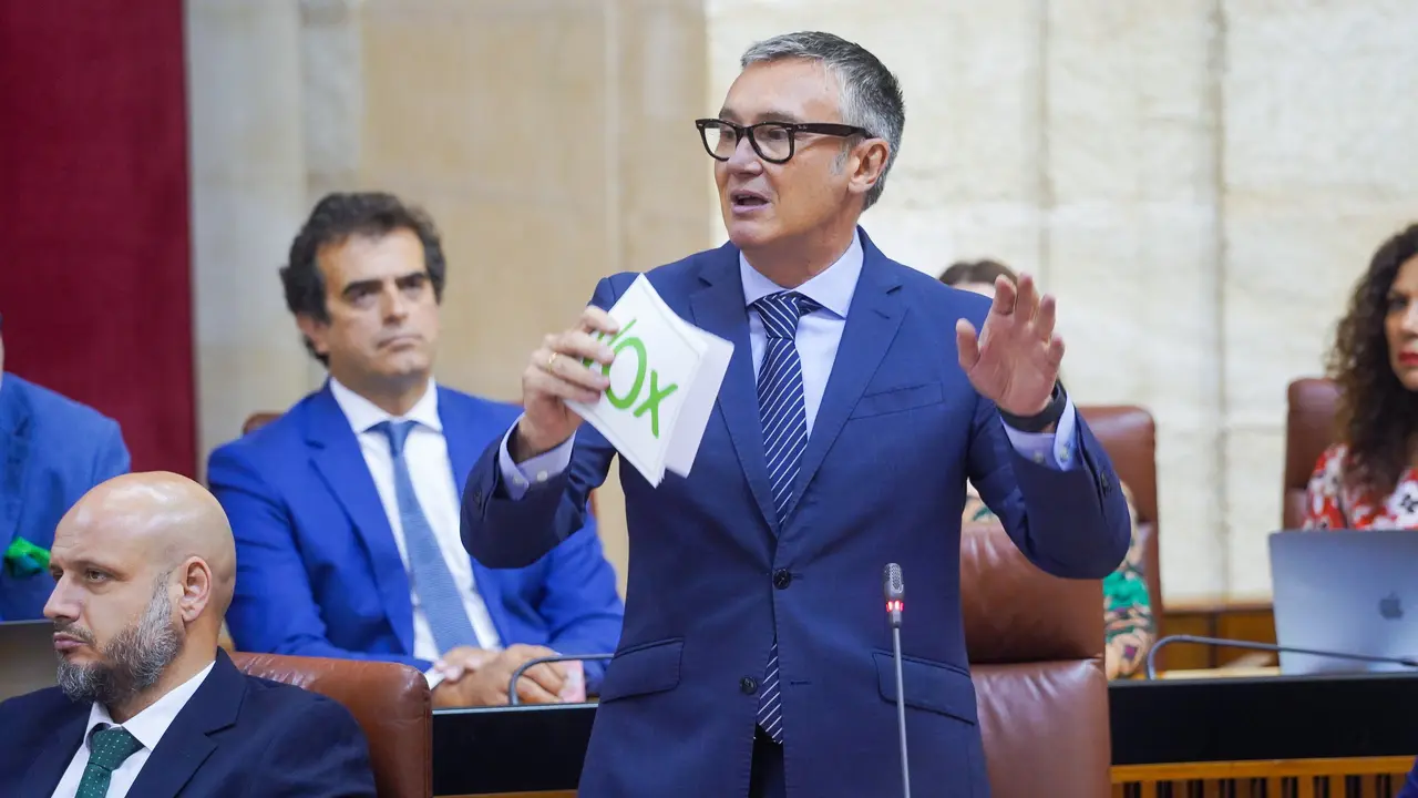 El portavoz del Grupo Parlamentario Vox, Manuel Gavira. /  Francisco J. Olmo