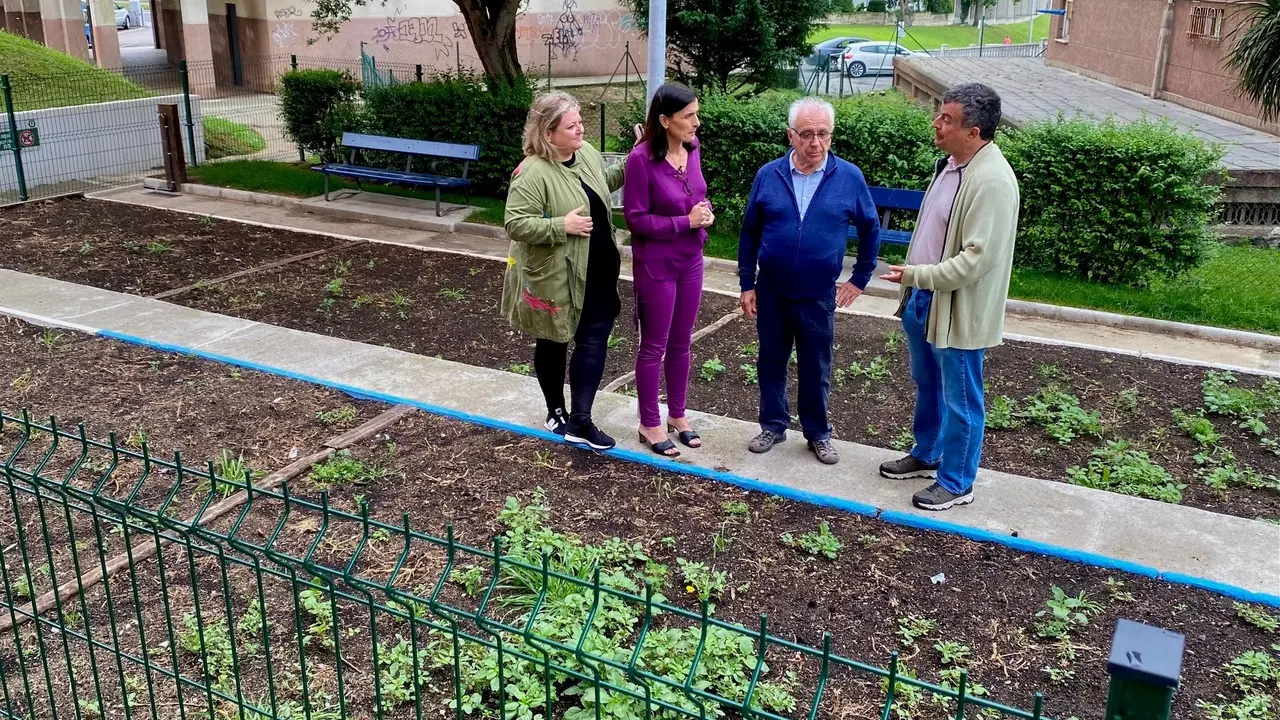 El Ayuntamiento habilita un nuevo espacio de huertos vecinales en Pronillo. / AS