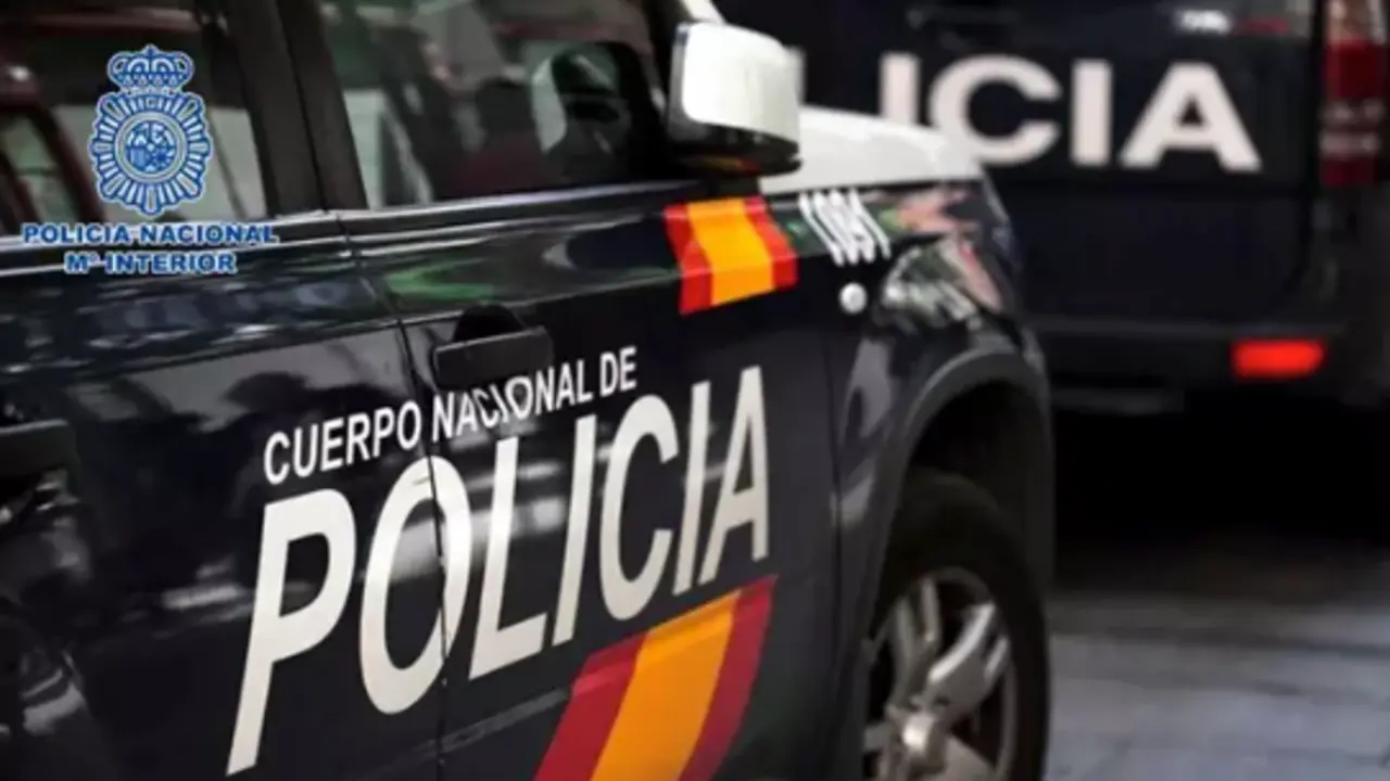 Coche de Polic&iacute;a Nacional. / CNP