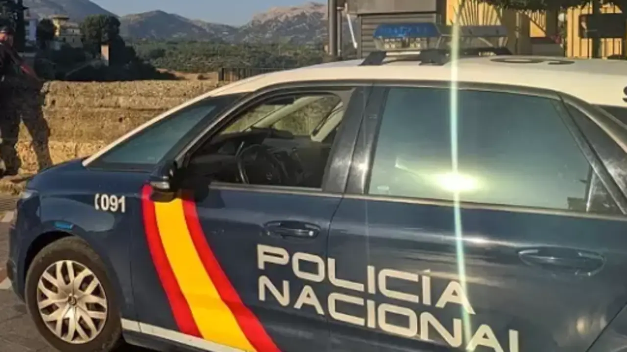 Un coche de la Polic&iacute;a Nacional. / CNP