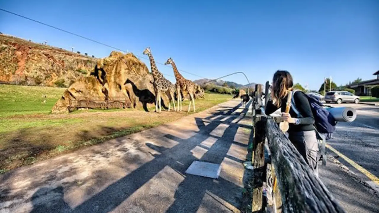 Parque de la Naturaleza de Cab&aacute;rceno. / GC