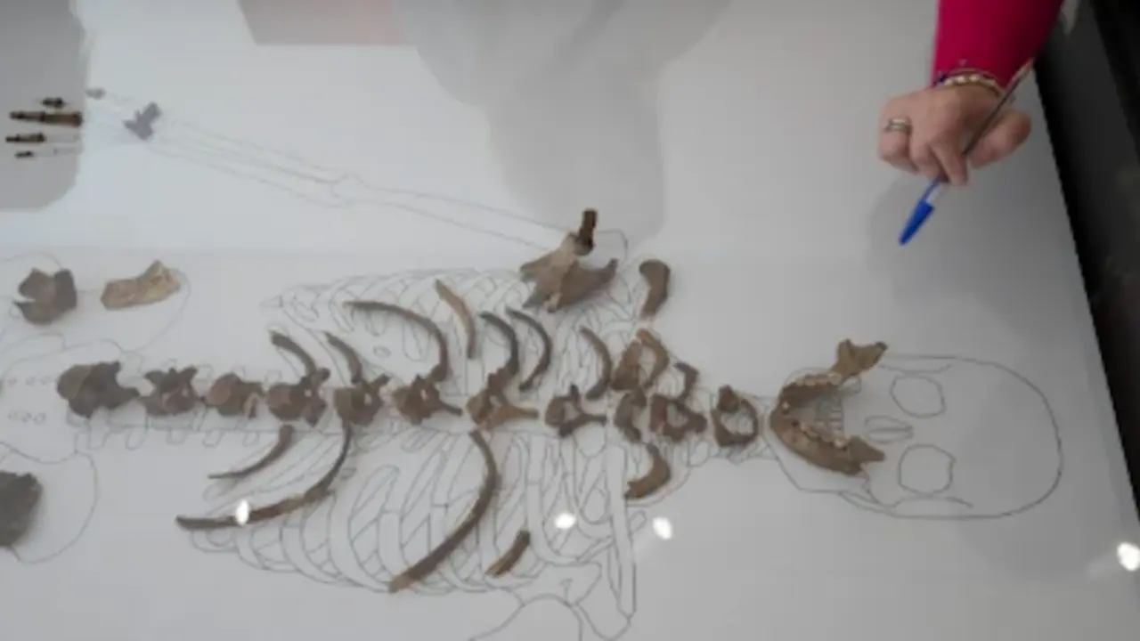 La Dama Roja, protagonista en el Centro de Arte Rupestre de Cantabria. / Pedro Puente Hoyos