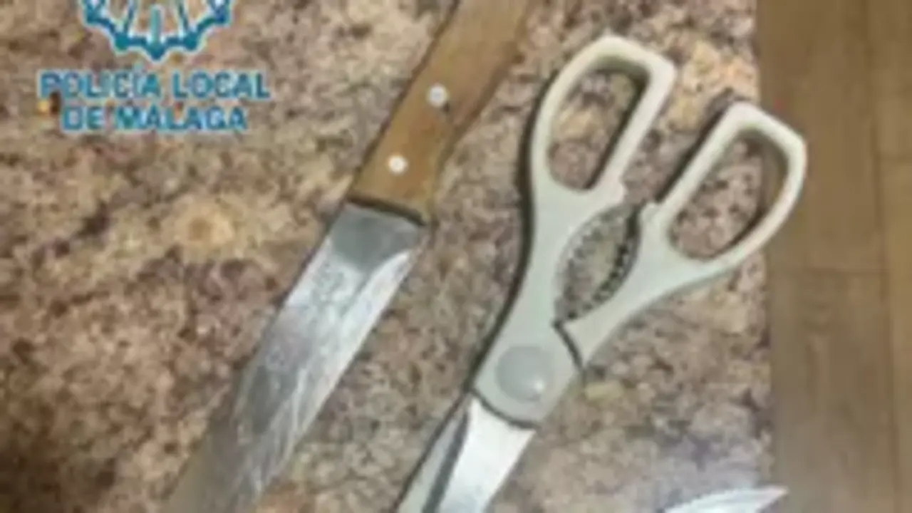 Detenido en M&aacute;laga por amenazar, herir e intentar agredir sexualmente a su compa&ntilde;era de piso. / PLM