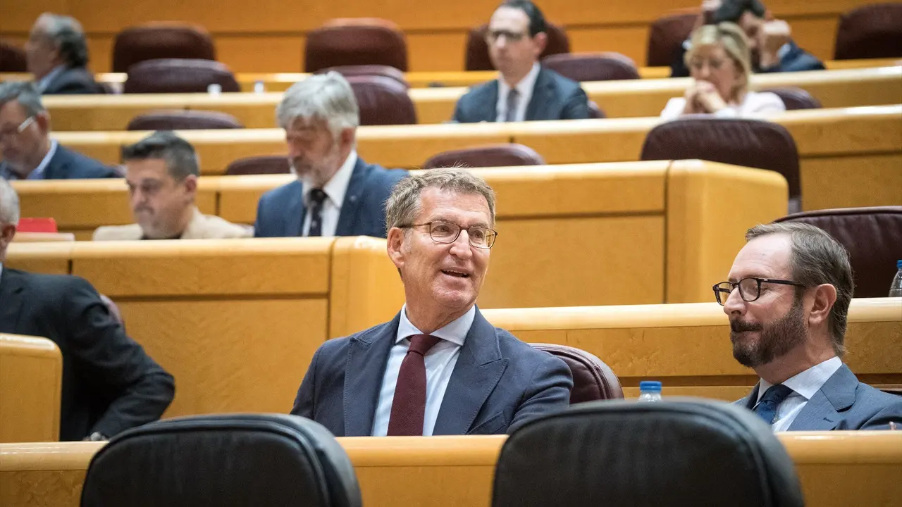 Alberto N&uacute;&ntilde;ez Feij&oacute;o y Javier Maroto durante una sesi&oacute;n plenaria en el Senado. / Diego Radam&eacute;s