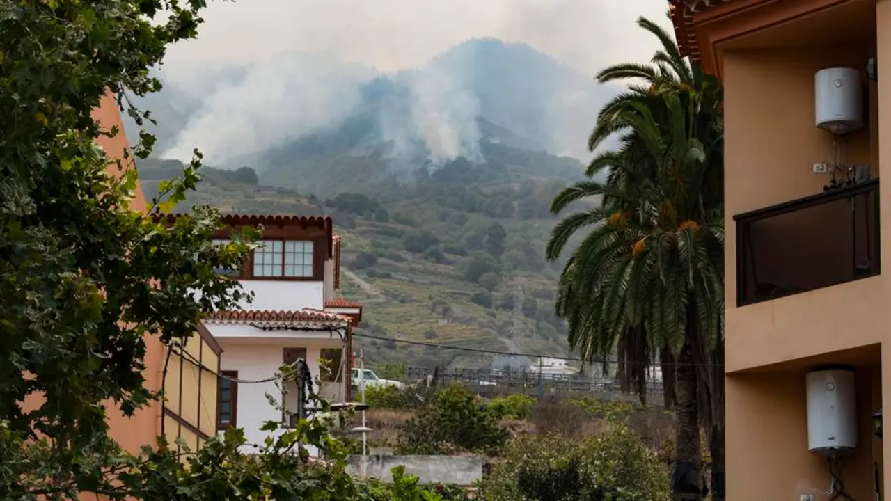 El incendio forestal avanza sin control por once municipios de Tenerife. EFE / Alberto Vald&eacute;s