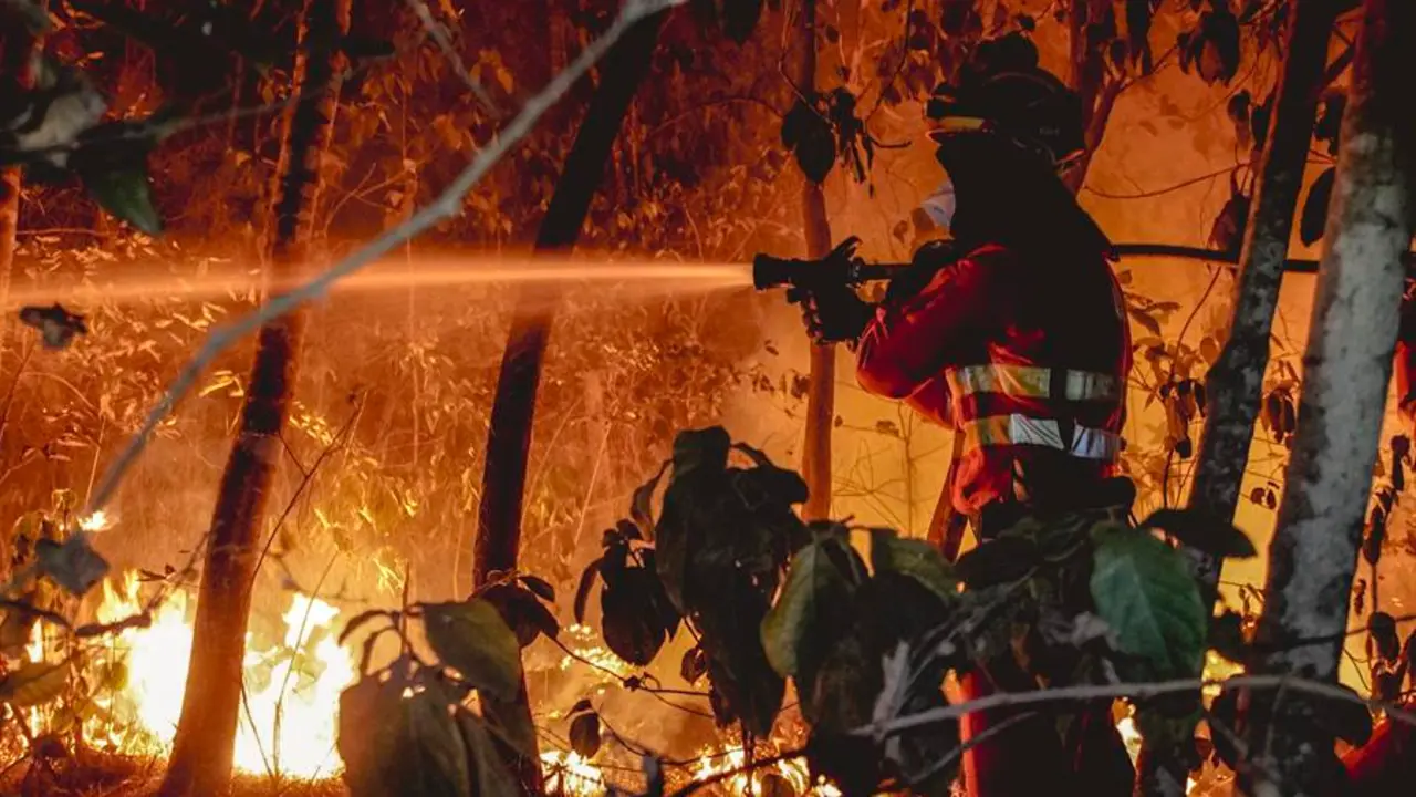 Efectivos de la UME en labores de extinci&oacute;n del incendio forestal que afecta a la isla de Tenerife. EFE / UME