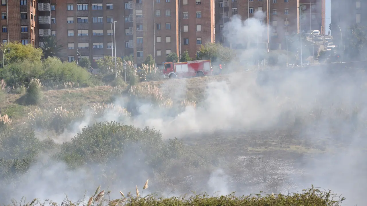 Los bomberos actuando en el incendio de vegetaci&oacute;n en el parque Las Llamas. / Alerta