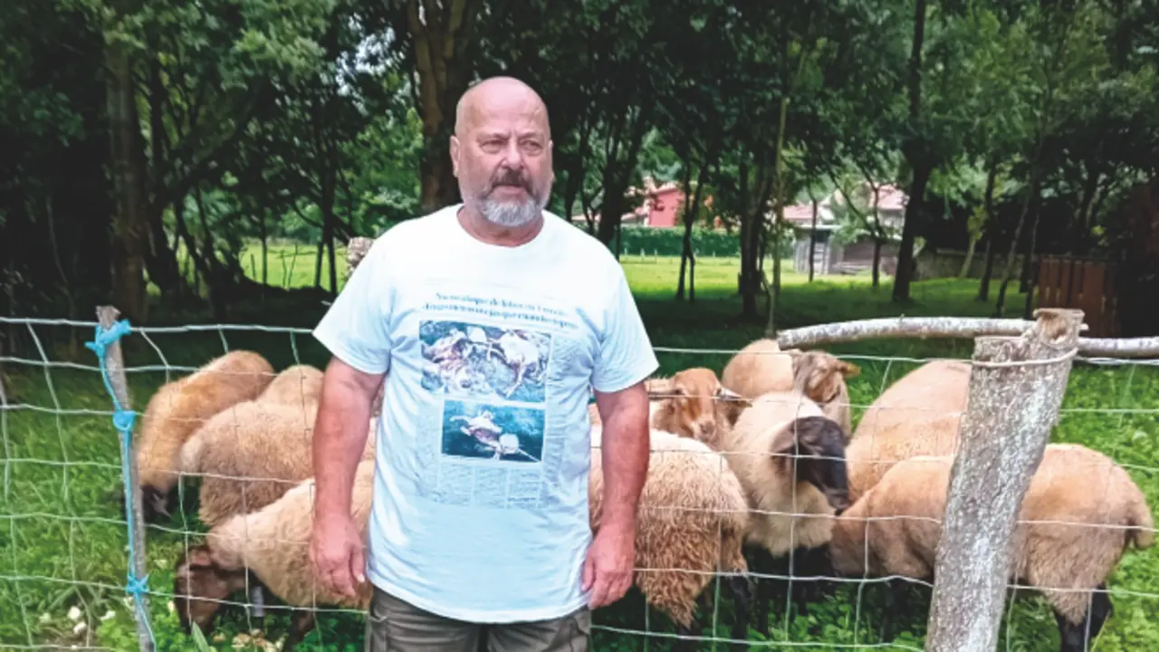 En la foto &lsquo;Espinete&rsquo;, uno de los ganaderos afectados por la inclusi&oacute;n del lobo en LESPRE, junto a su reba&ntilde;o en la localidad de Trece&ntilde;o. / ALERTA