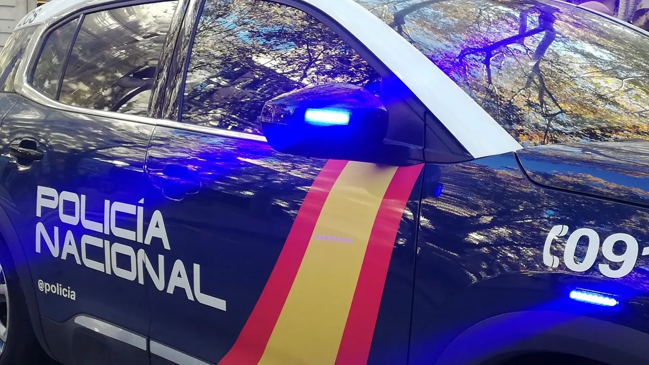 Coche de Polic&iacute;a Nacional. / AEE