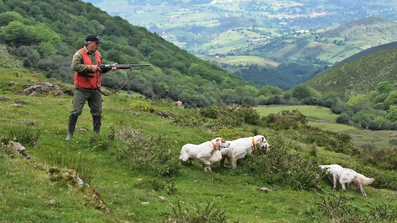 El cazador Jes&uacute;s Lucio Salces en una de sus salidas con sus perros de caza. / ALERTA
