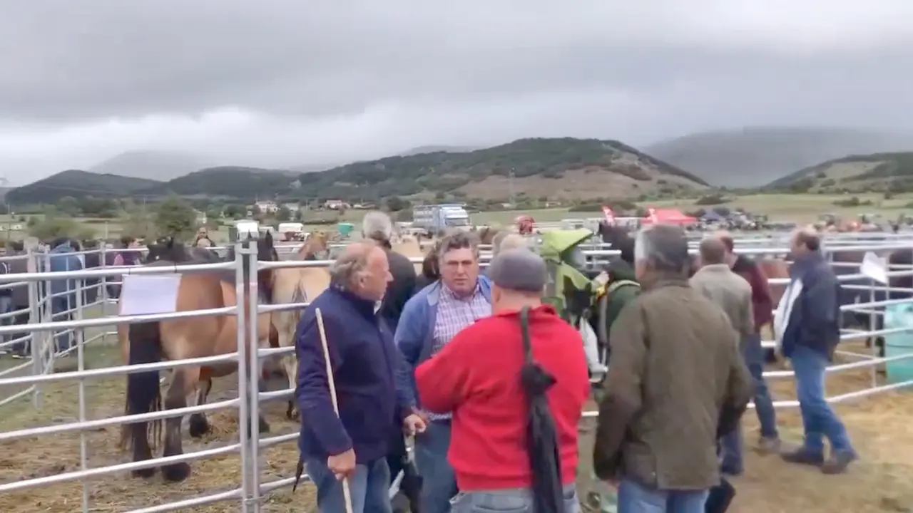 Reinosa acogi&oacute; la feria de ganado con motivo de la celebraci&oacute;n de San Mateo. / ALERTA