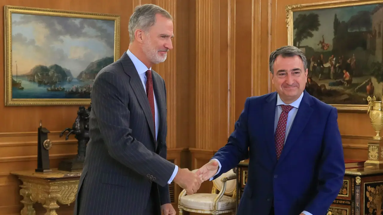 El rey Felipe VI se re&uacute;ne con el portavoz del PNV, Aitor Esteban. / Alerta