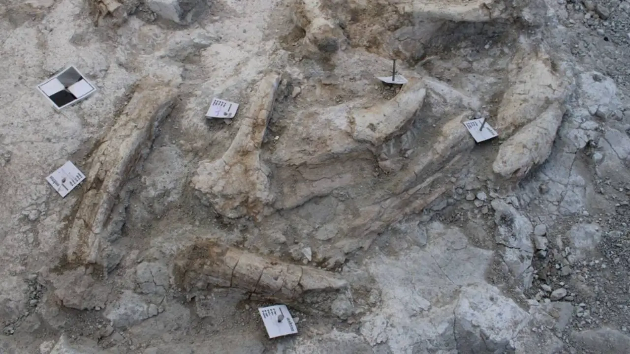 AYUNTAMIENTO DE MADRID
La excavaci&oacute;n comenz&oacute; en marzo de 2023 y se extendi&oacute; hasta agosto.