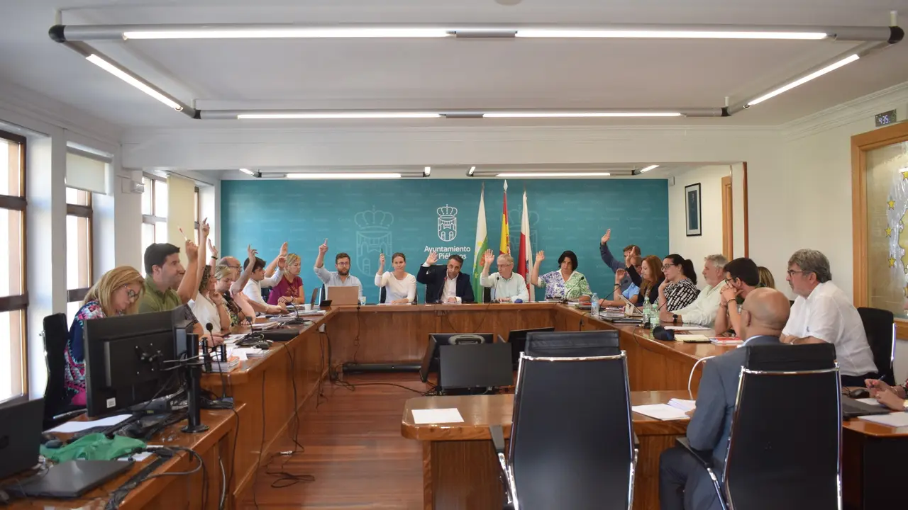 Votaci&oacute;n durante el pleno del Ayuntamiento de Pi&eacute;lagos.