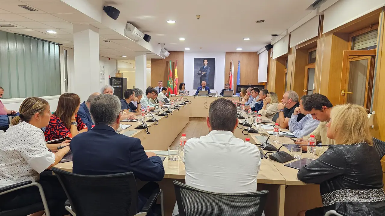 Vista del pleno de este mi&eacute;rcoles. / Alerta