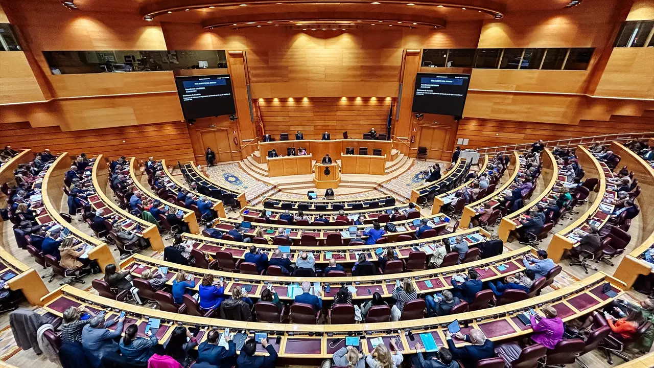 Vista general de una sesi&oacute;n plenaria en el Senado. EP / Carlos Luj&aacute;n