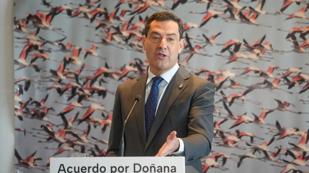 El presidente de la Junta de Andaluc&iacute;a, Juanma Moreno, durante la rueda de prensa tras la firma del acuerdo del protocolo del Parque Nacional de Do&ntilde;ana. EP / Francisco J. Olmo