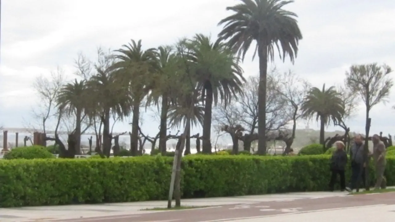 Vista de los Jardines de Piqu&iacute;o. / Alerta