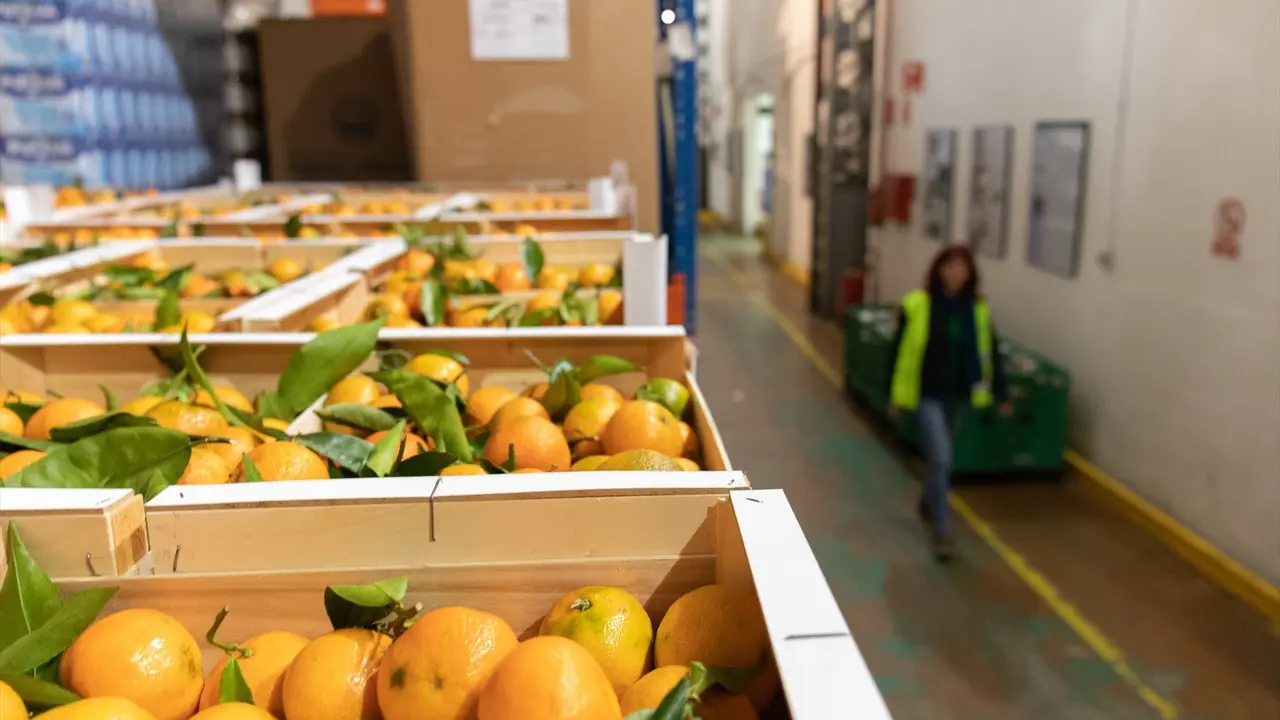 Cajas de mandarinas en un bando de alimentos. / Alerta