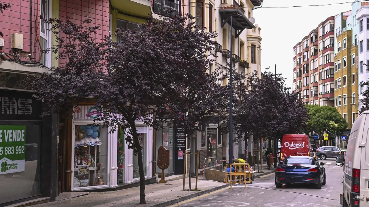 Vista de una calle de Torrelavega. / Alerta