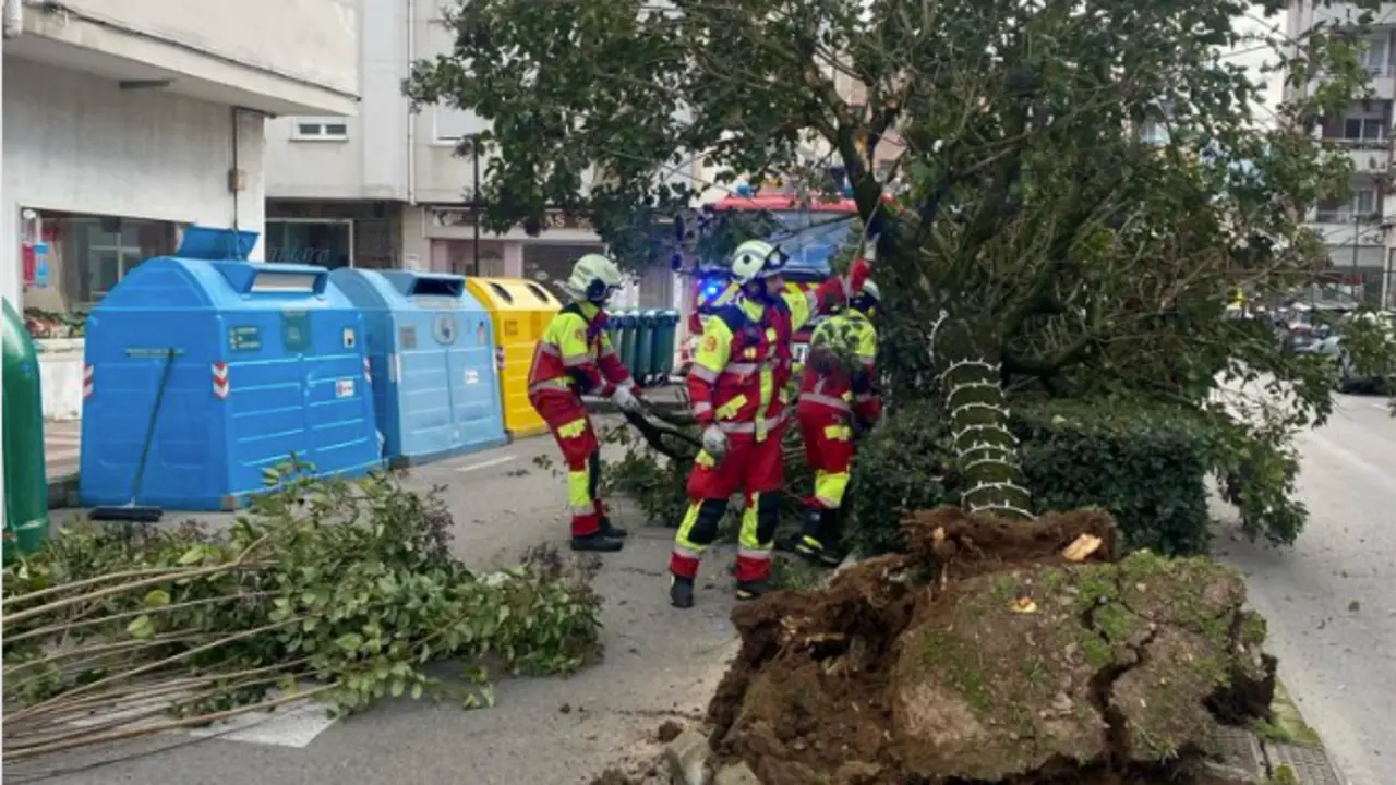 Los bomberos trabajando para retirar el &aacute;rbol.