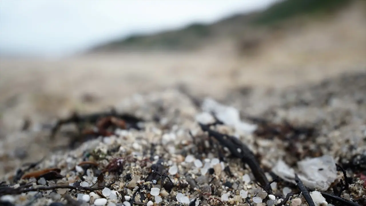 Pellets de pl&aacute;stico en la playa de Sab&oacute;n. EP / Gustavo de la Paz