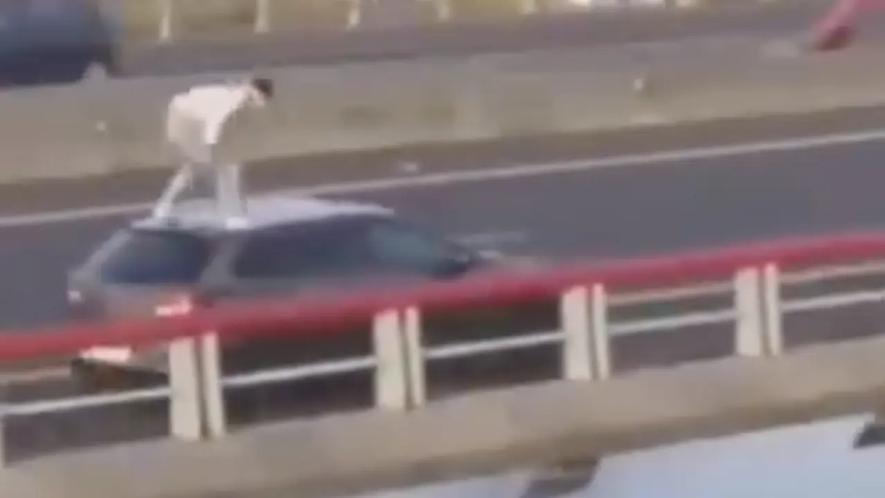 Im&aacute;genes del joven lanz&aacute;ndose a la r&iacute;a.