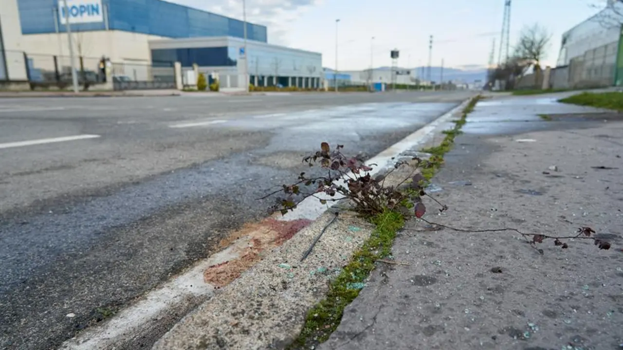 Dos j&oacute;venes de 18 y 21 a&ntilde;os han fallecido este s&aacute;bado en una colisi&oacute;n entre dos veh&iacute;culos ocurrida en el pol&iacute;gono industrial de J&uacute;ndiz, en Vitoria. EFE/ L. Rico