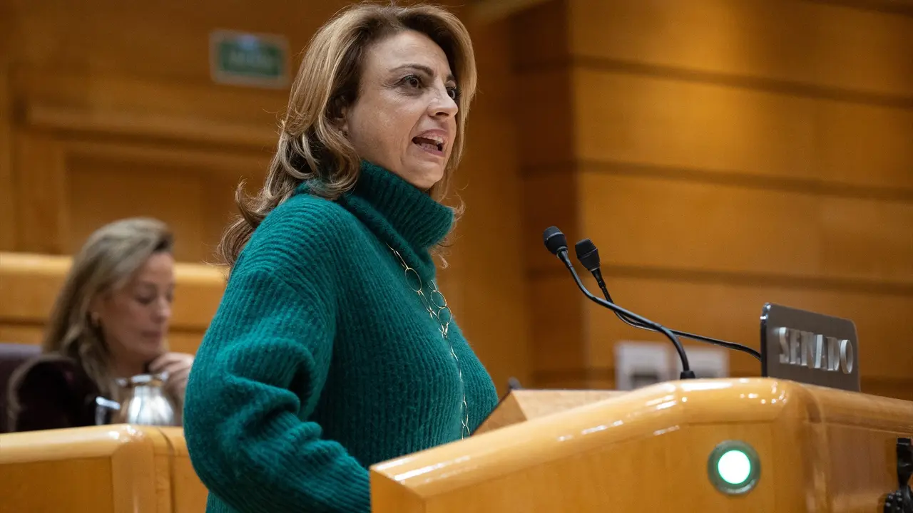 La diputada de Coalici&oacute;n Canaria, Cristina Valido, interviene durante el pleno del Congreso. EP / Alejandro Mart&iacute;nez V&eacute;lez