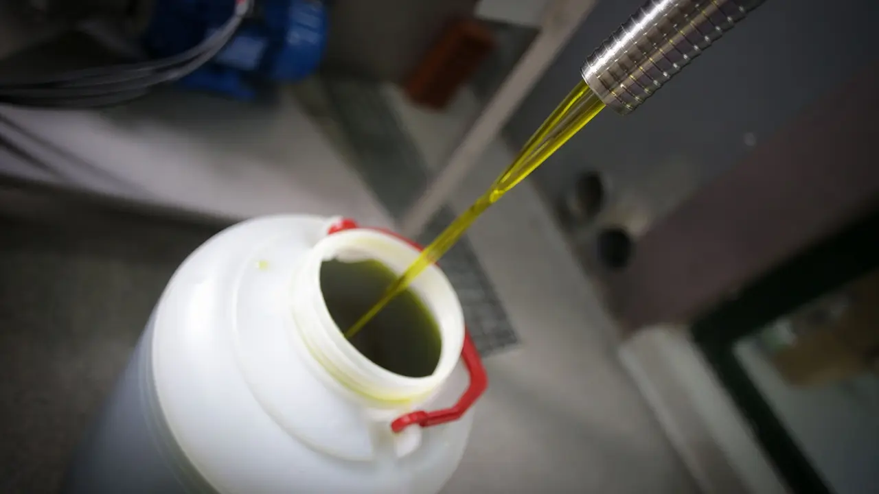 Aceite de primer prensado en fr&iacute;o tras el primer filtrado durante el comienzo de la temporada del aceite. EP / Carlos Castro