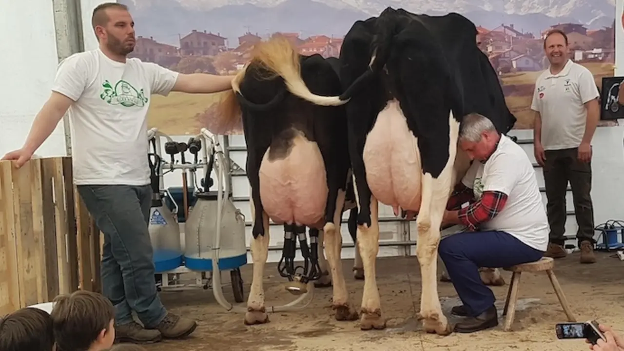 16reg11ruiloba Feria La Leche en Trasierra