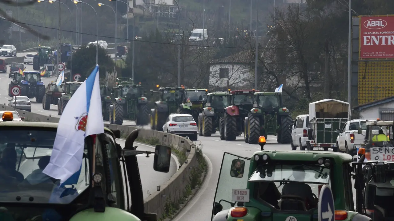 Varios tractores de agricultores llegan a Ourense durante una manifestaci&oacute;n esta semana. EP / Rosa Veiga