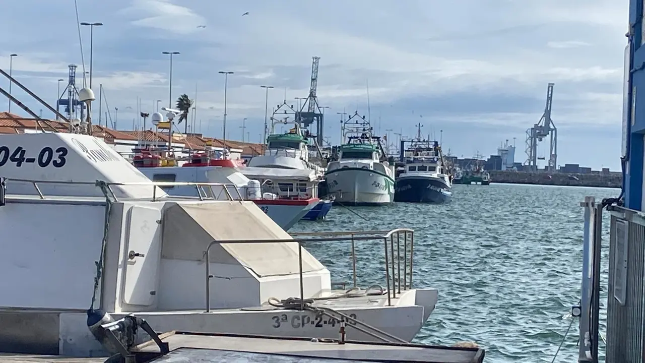 Pesqueros en el muelle. EP