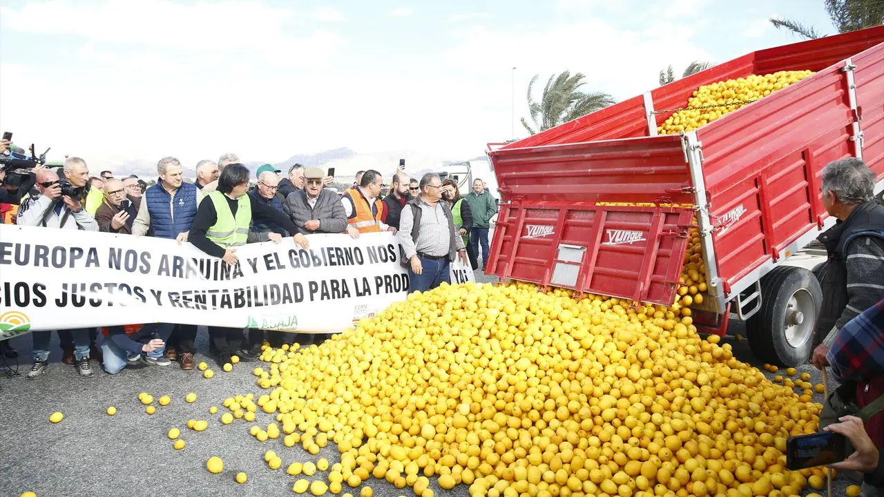 Agricultores y ganaderos sostienen pancartas frente a un centenar de limones en el suelo en una manifestaci&oacute;n. EP / Joaqu&iacute;n Reina
