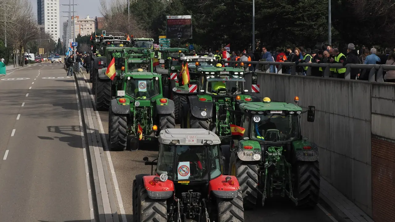 Varios tractores pasan por la carretera de Salamanca en Valladolid. EP / Claudia Alba